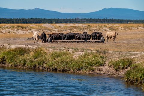 Tiny photo for 1950 Silver Lake Road, Chiloquin, OR 97624 (MLS # 220209125)