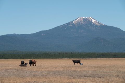 Tiny photo for 1950 Silver Lake Road, Chiloquin, OR 97624 (MLS # 220209125)