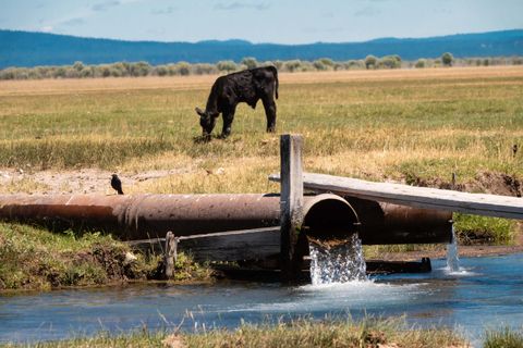 Tiny photo for 1950 Silver Lake Road, Chiloquin, OR 97624 (MLS # 220209125)