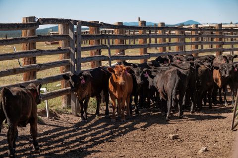 Tiny photo for 1950 Silver Lake Road, Chiloquin, OR 97624 (MLS # 220209125)