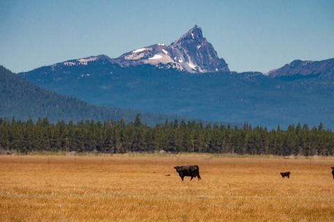 Tiny photo for 1950 Silver Lake Road, Chiloquin, OR 97624 (MLS # 220209125)