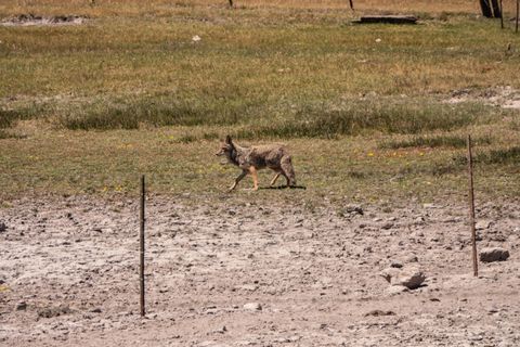 Tiny photo for 1950 Silver Lake Road, Chiloquin, OR 97624 (MLS # 220209125)
