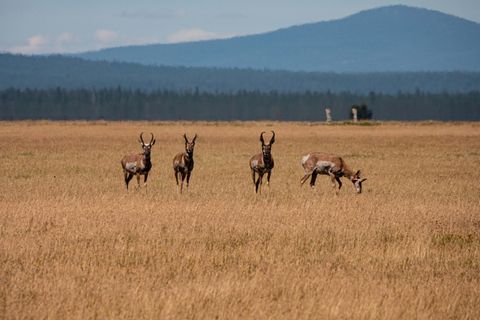 Tiny photo for 1950 Silver Lake Road, Chiloquin, OR 97624 (MLS # 220209125)