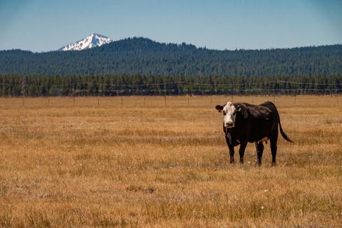 Tiny photo for 1950 Silver Lake Road, Chiloquin, OR 97624 (MLS # 220209125)