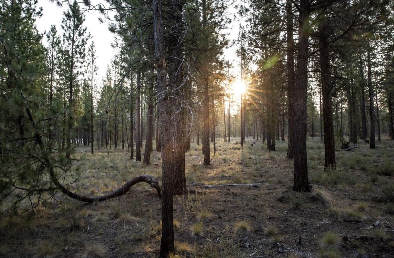 Caldera Springs - Land