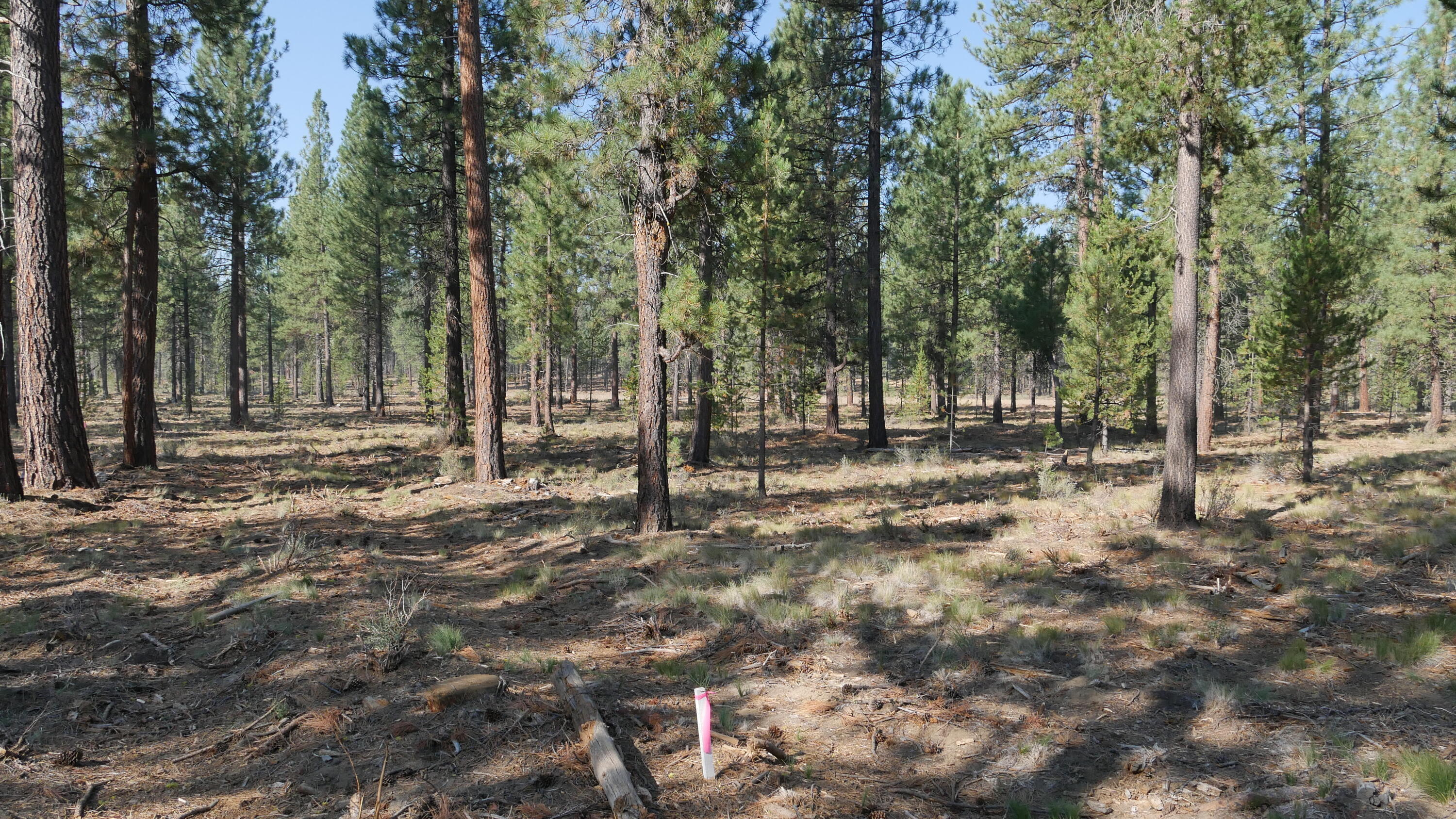 Caldera Springs - Land