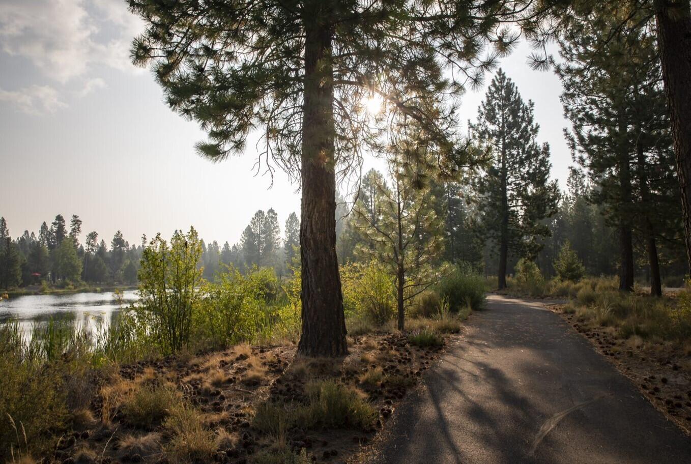 Caldera Springs - Land
