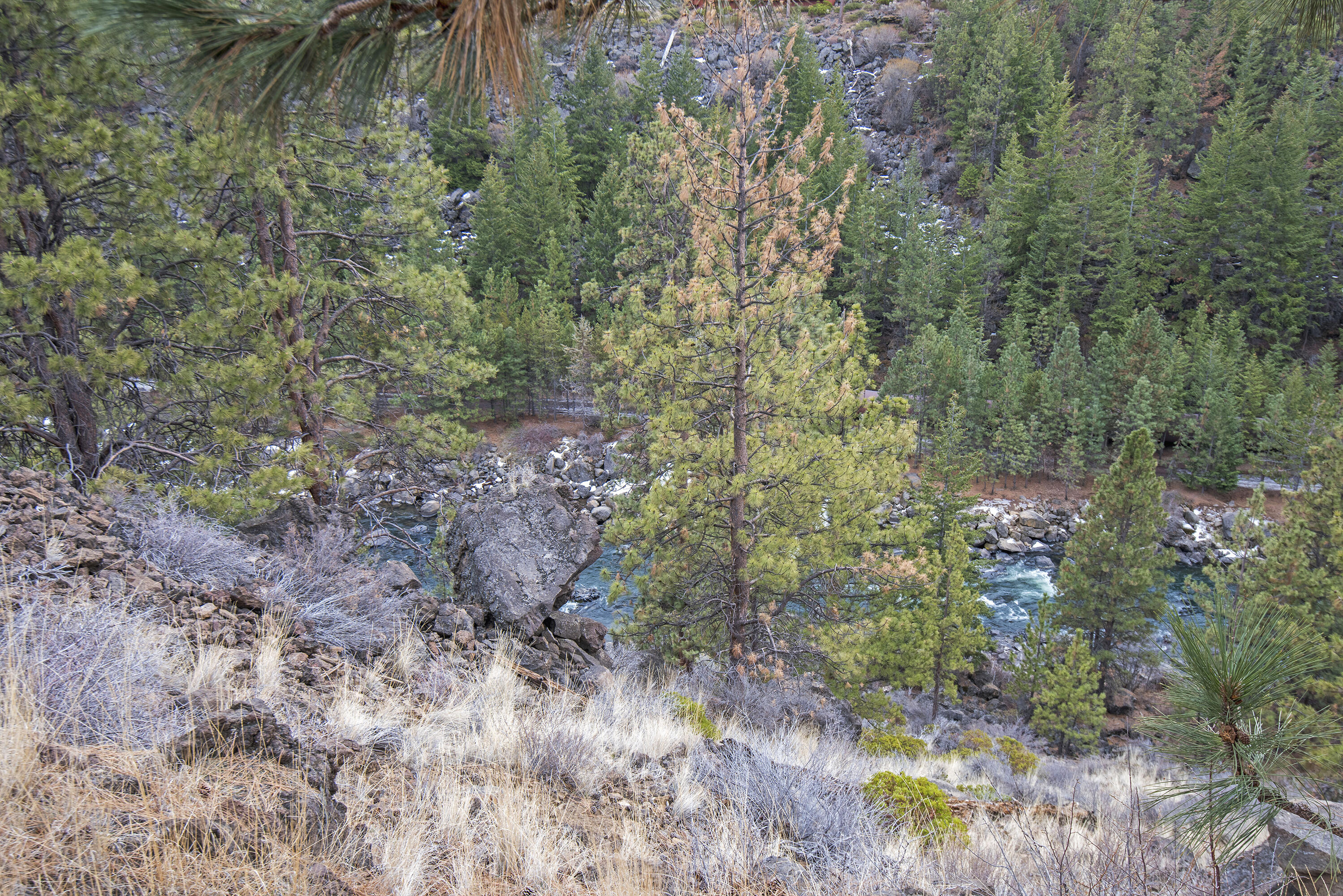 Sunrise Village - Residential