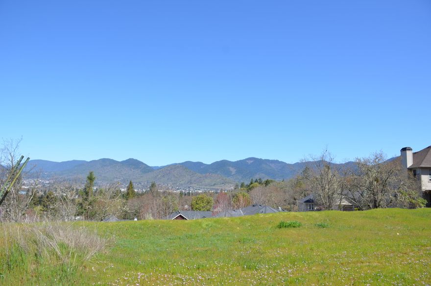 Build your dream home on one of the last premier lots available in gorgeous Mead Wood Subdivision. City lights, surrounding mountains and valley views from this lot. City services are up to the lot. Building lot is suited for a 2 story home with a daylight basement. Engineered Wall report available. All information deemed reliable, but is not a guarantee. Buyer to do their own due diligence.