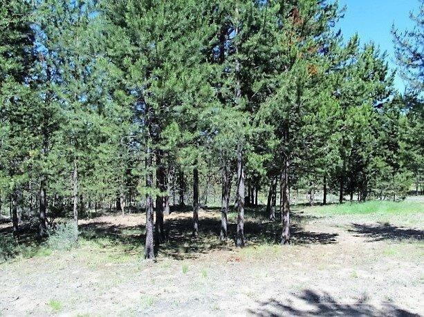 Terra De Oro Est - Residential