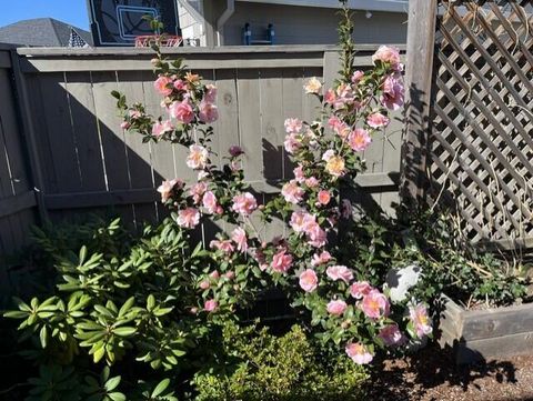 Tiny photo for 3847 Wyoming Lane, Medford, OR 97504 (MLS # 220221183)