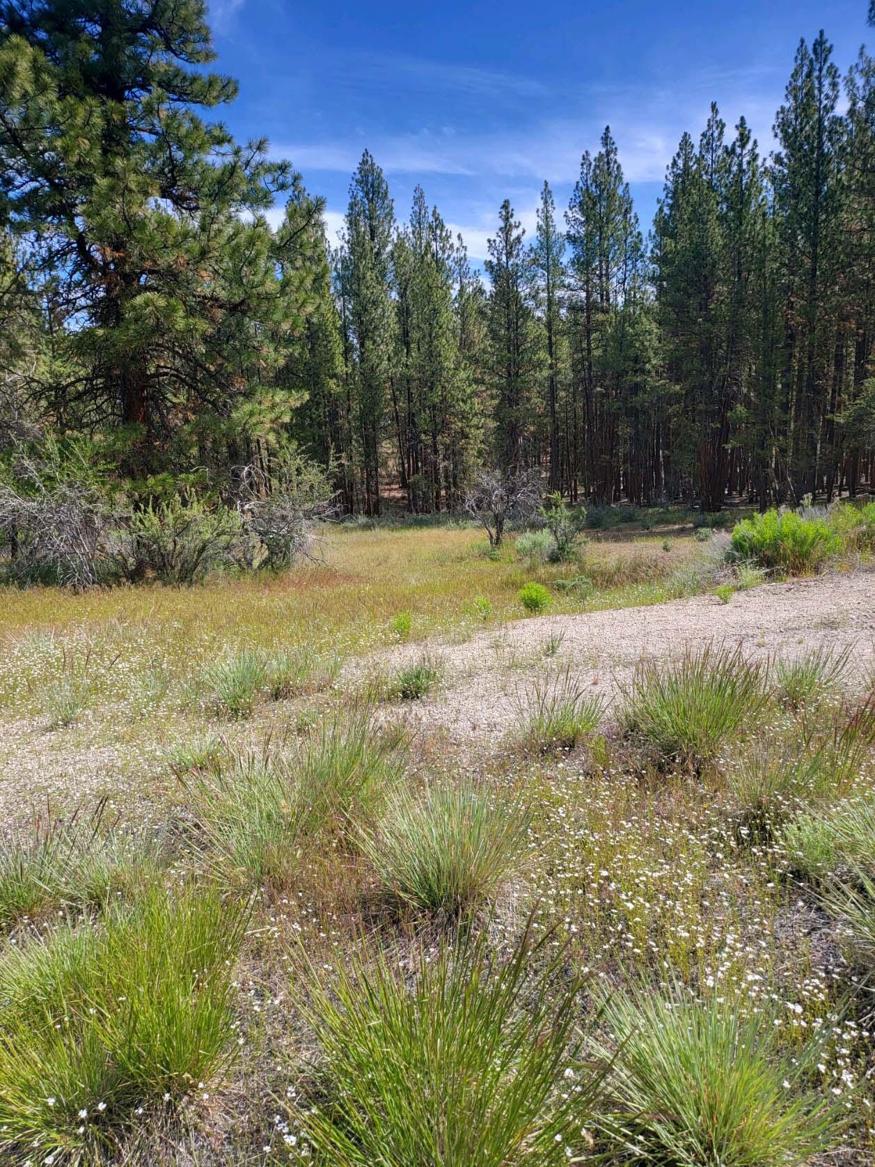 Klamath Country - Land