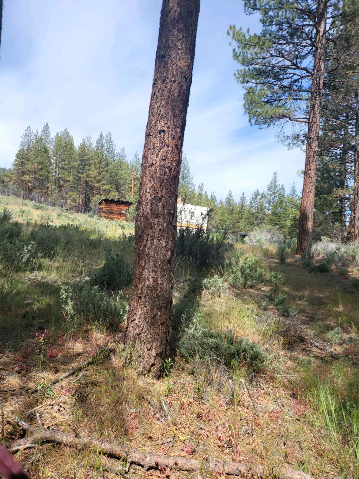 Klamath Country - Land