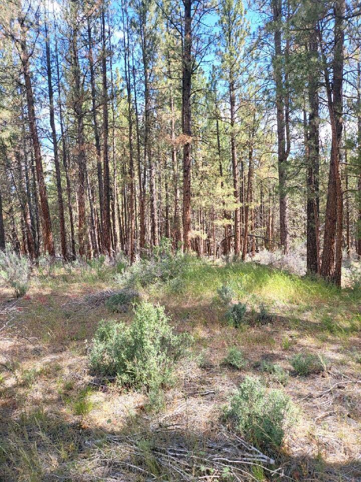 Klamath Country - Land