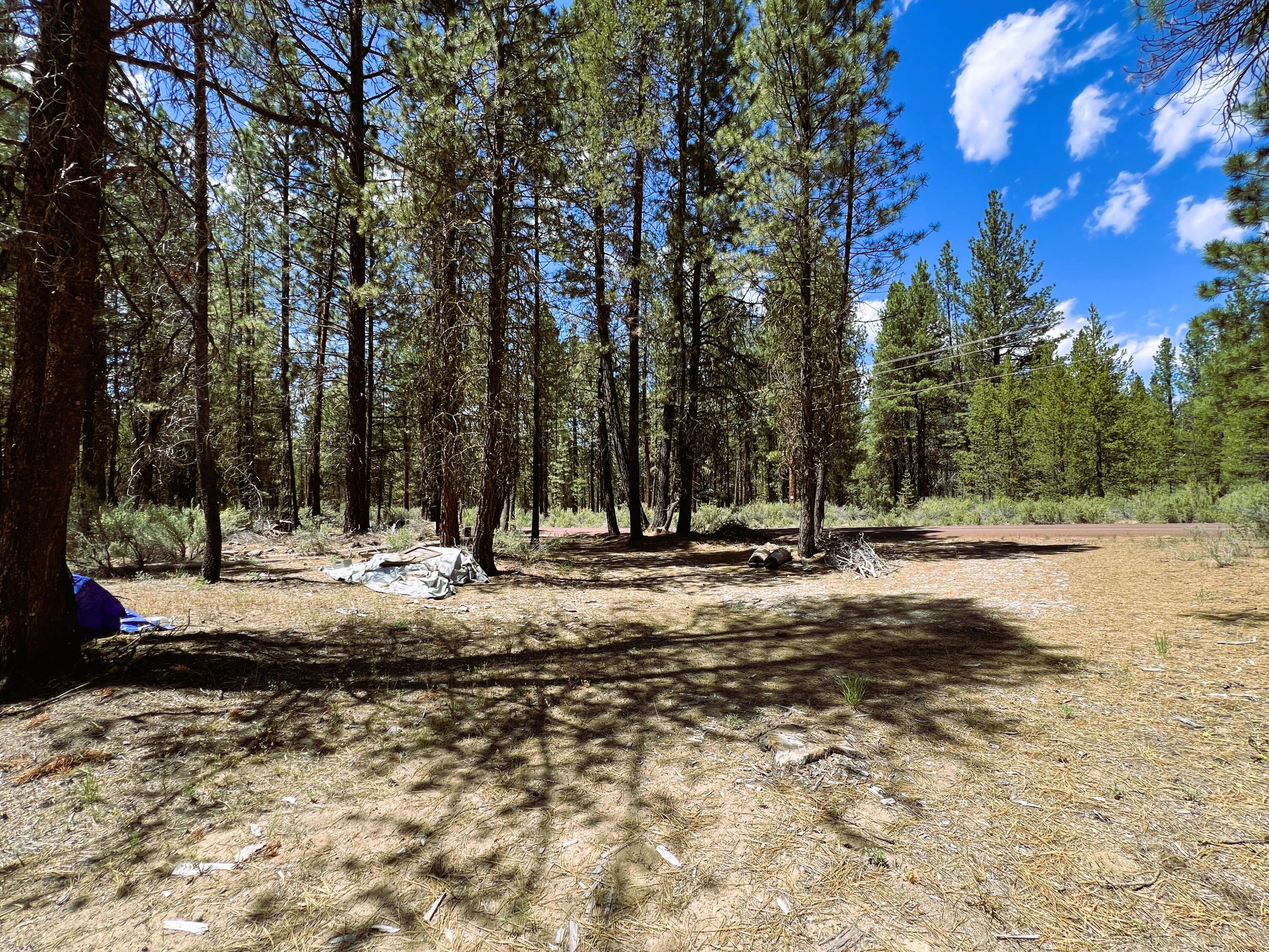 Sprague River Pines - Land