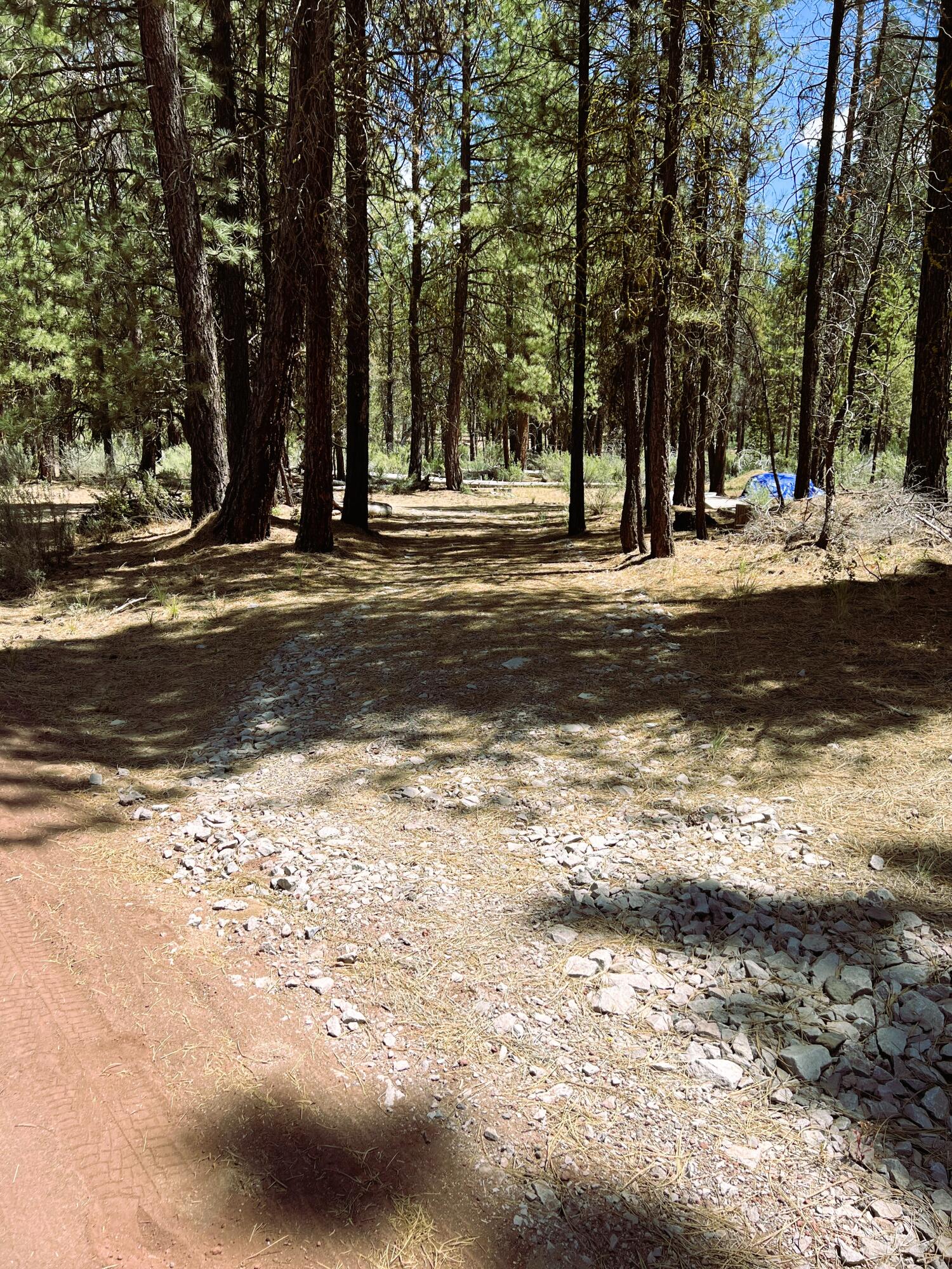 Sprague River Pines - Land