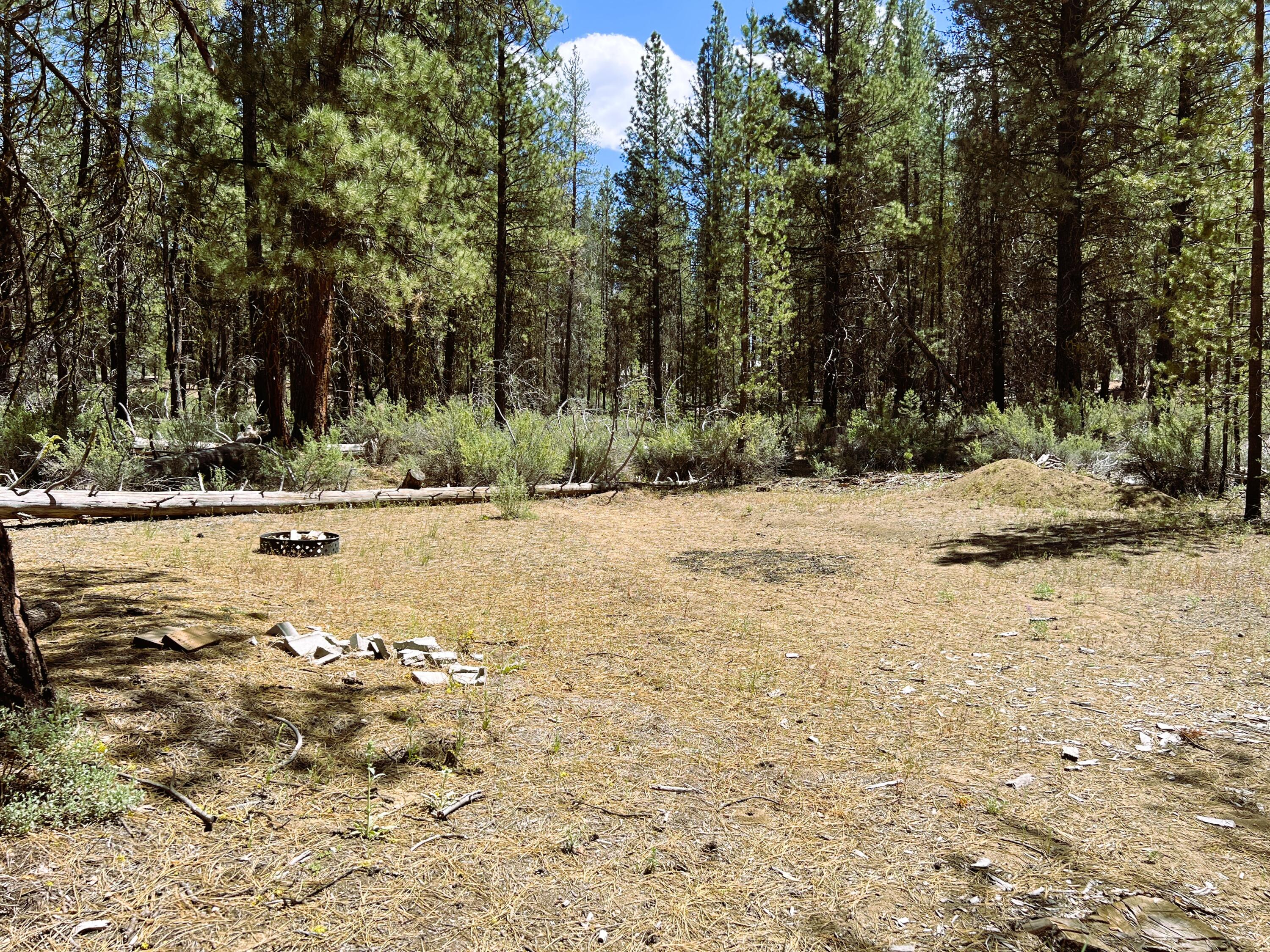 Sprague River Pines - Land