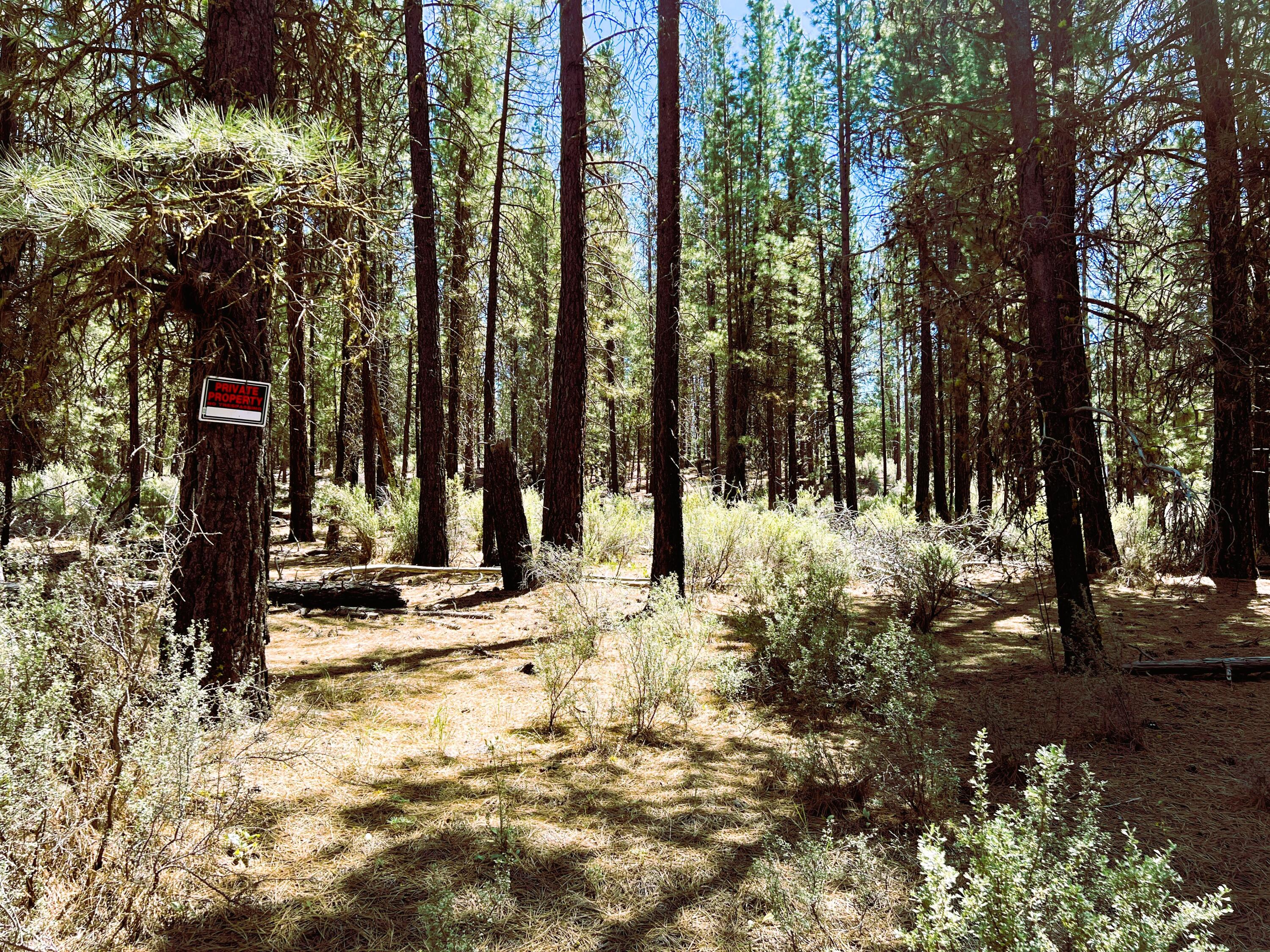 Sprague River Pines - Land