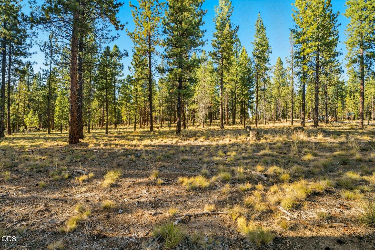 56577 Elk Run Drive 524