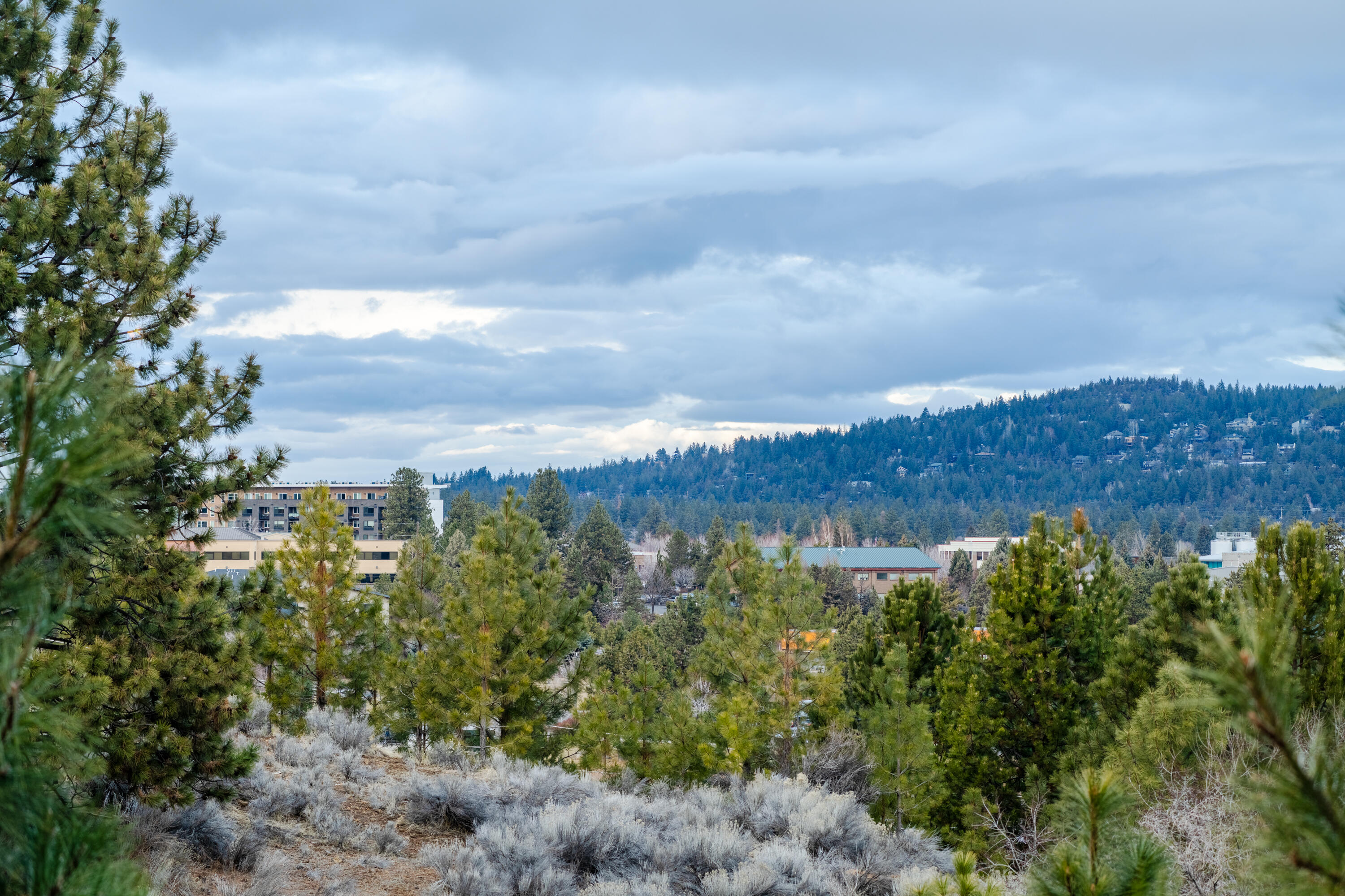 The Bluffs River Ben - Residential