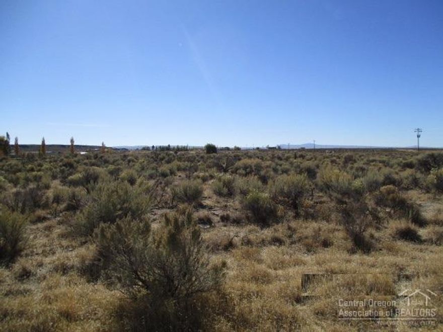 Here is about an acre to build your dream home or cabin on a paved street. Power right across the street & water is at the back of property. Buyer to hook up utilities. Enjoy the high desert sunrises & sunsets, the wild life and more. Run into Christmas Valley and have a nice lunch at one of the local restaurants, play a round of golf, have a picnic at the park & more. Do your shopping at one of the grocery stores, go to the clinic and more. Very reasonably priced and waiting for your ideas.