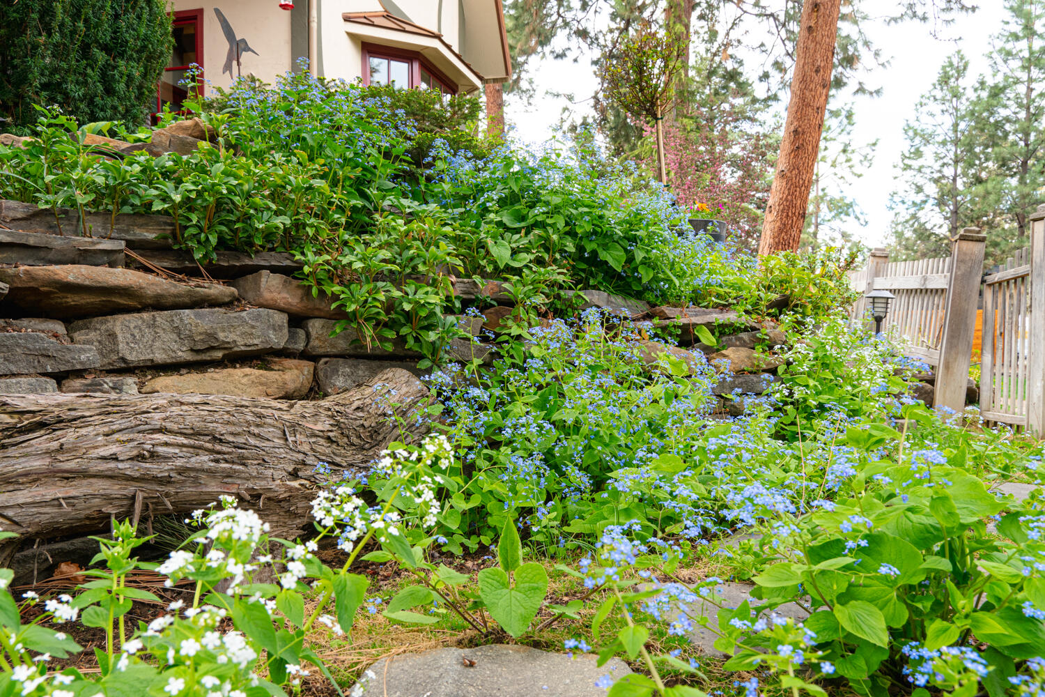 The Shire - Residential