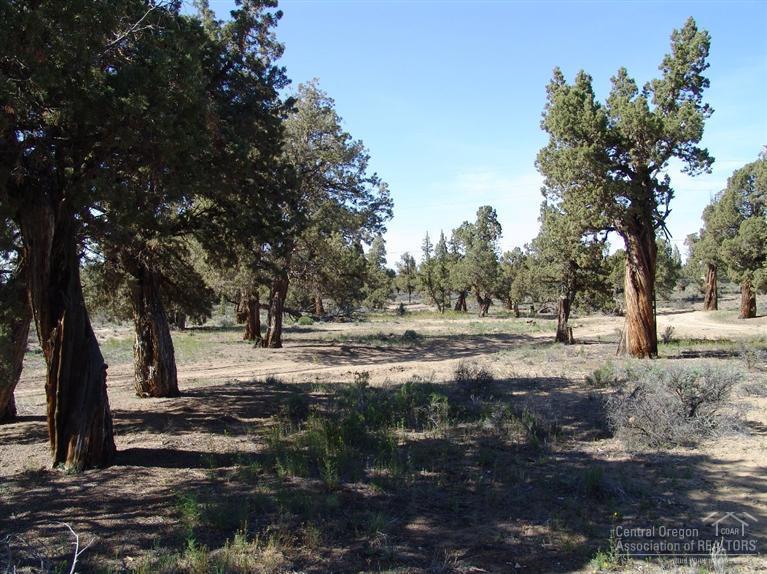 Bend Cascade View - Land