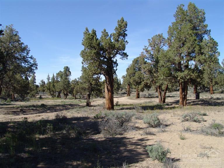 Bend Cascade View - Land