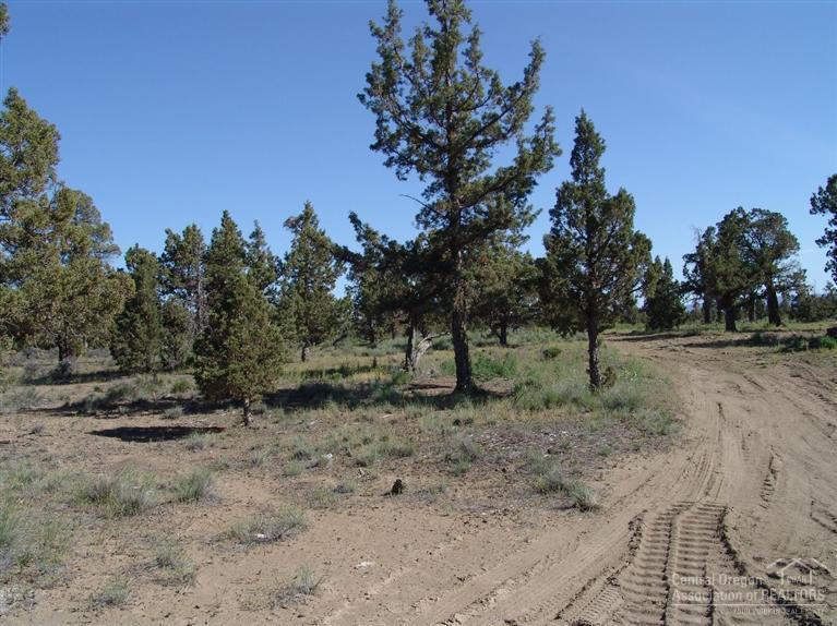 Bend Cascade View - Land