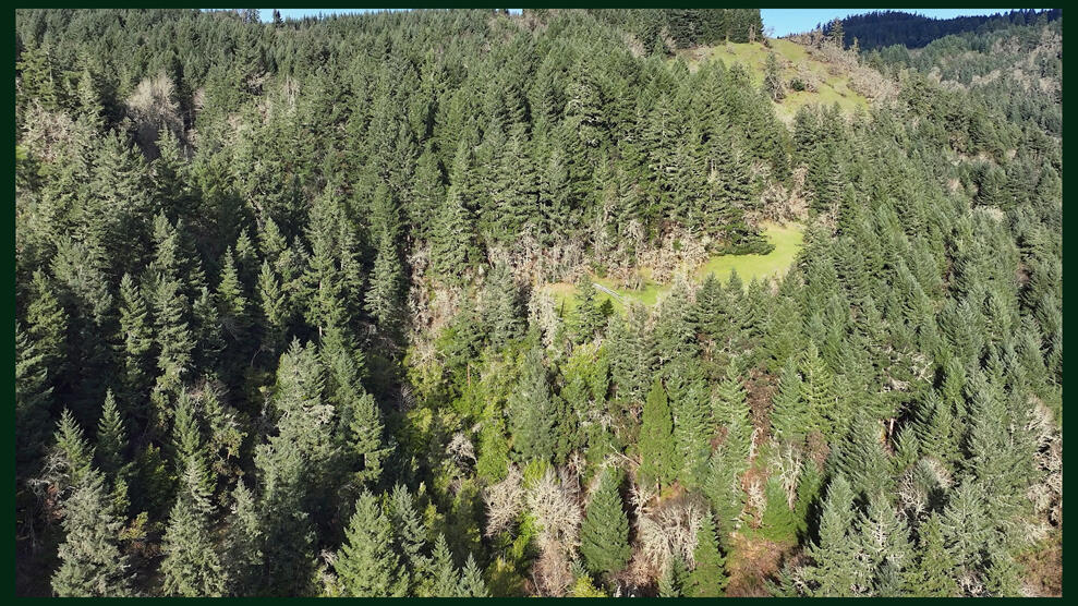 HWY 138 West