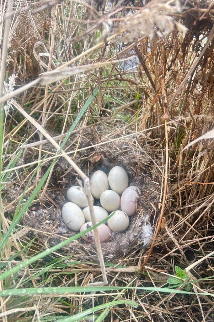 Hunnell Hills - Residential