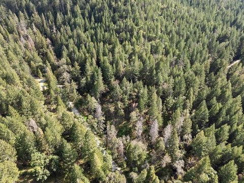 Tiny photo for 1584 Yale Creek Road, Jacksonville, OR 97530 (MLS # 220213896)