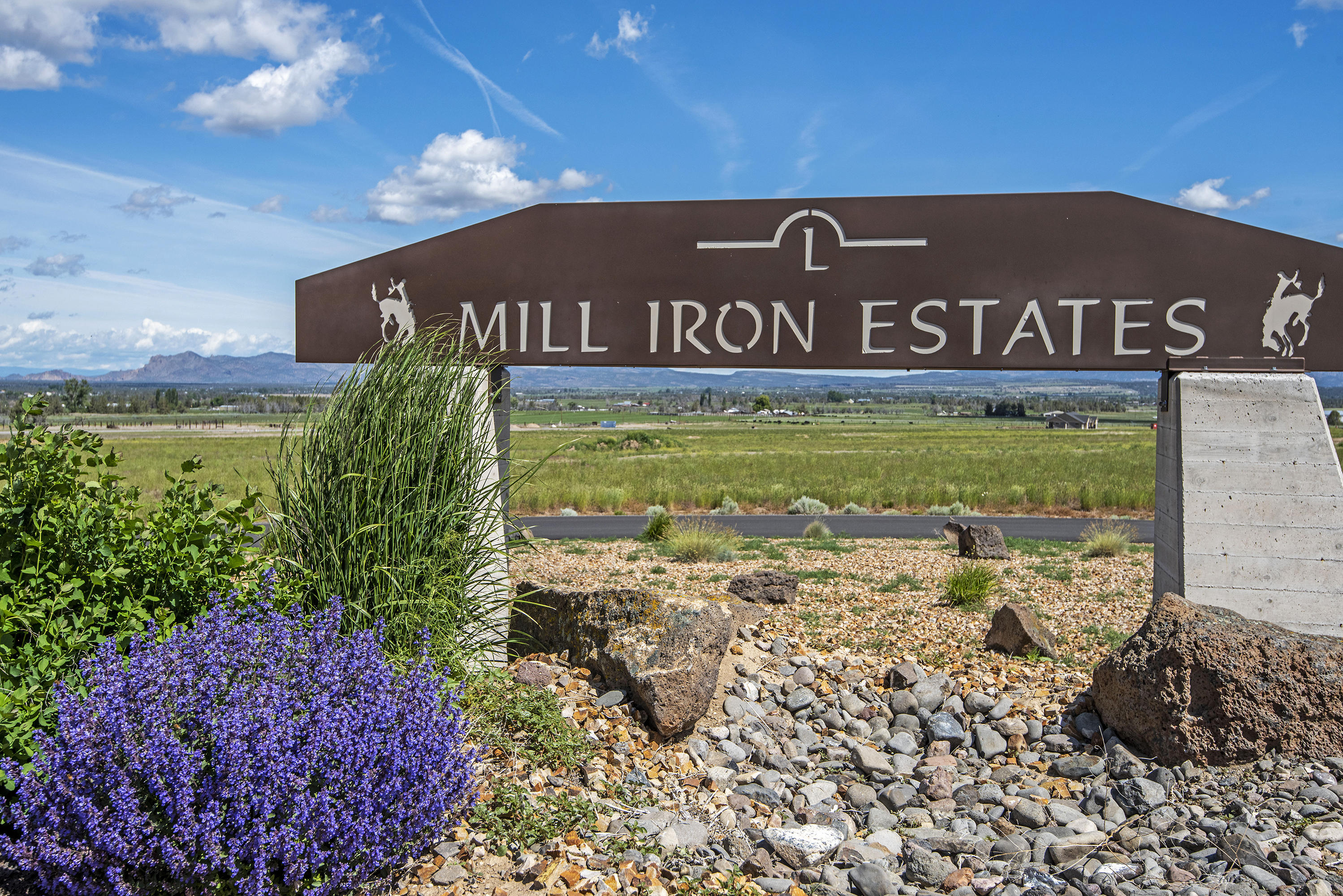 Mill Iron Estates - Land