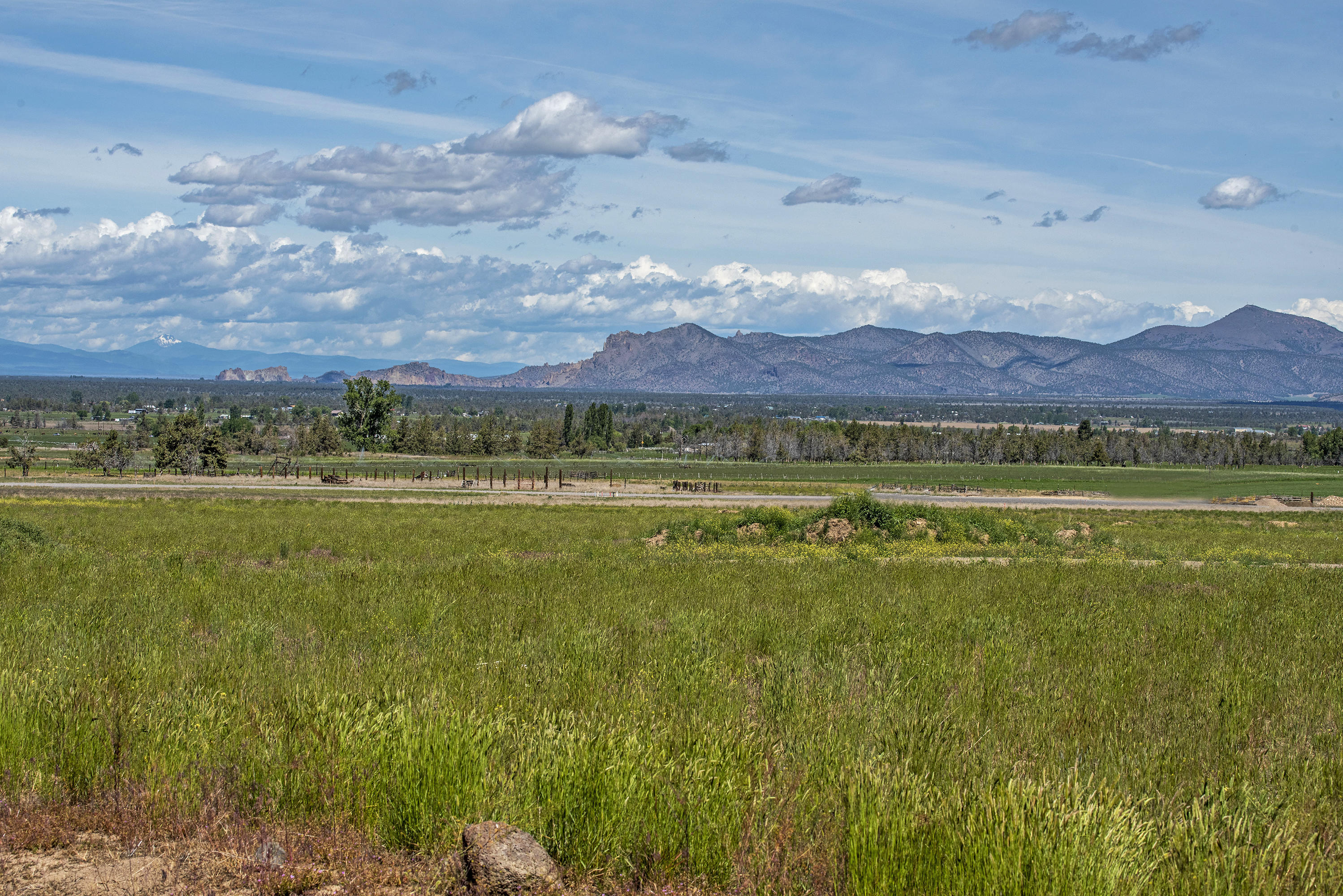 Mill Iron Estates - Land