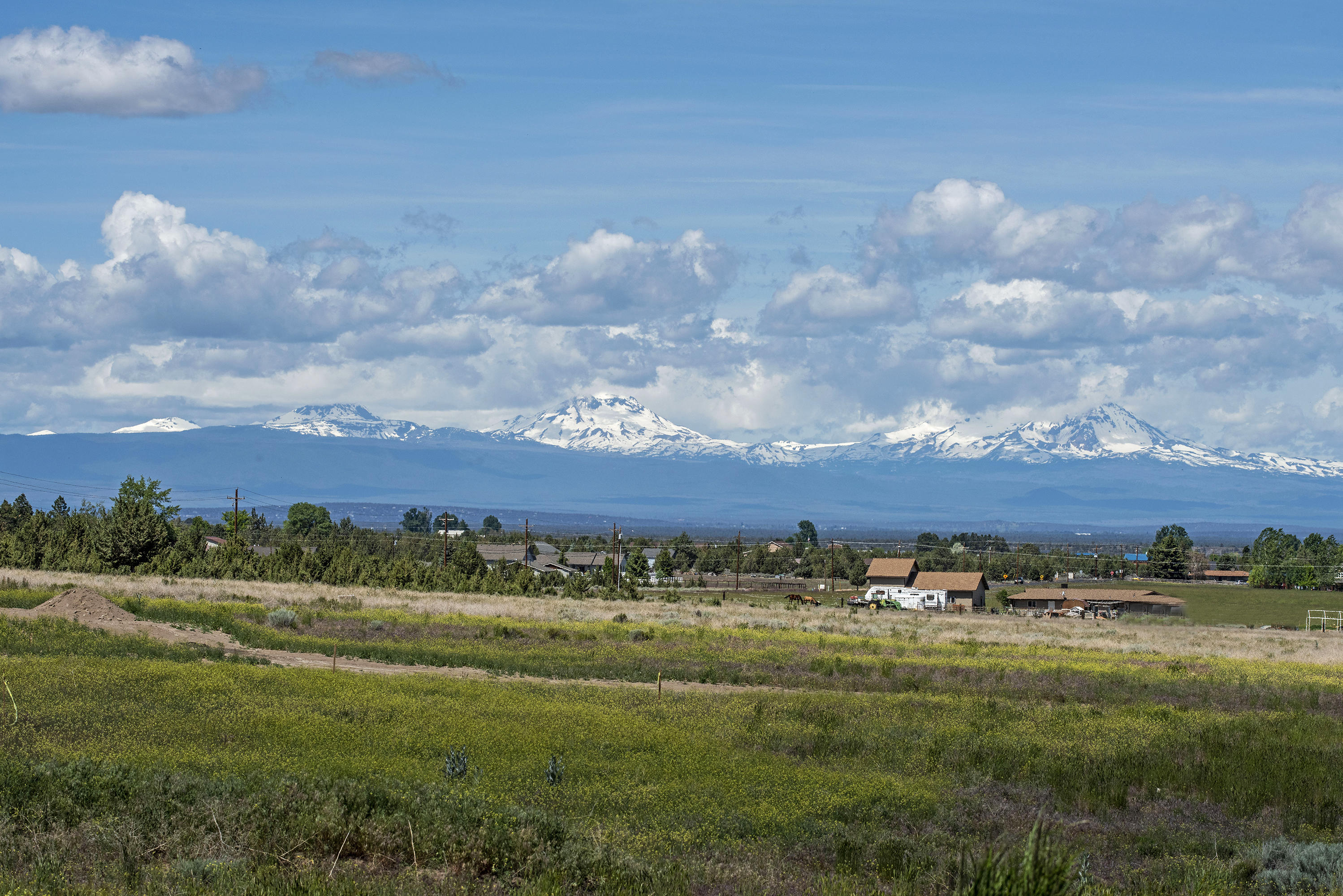 Mill Iron Estates - Land