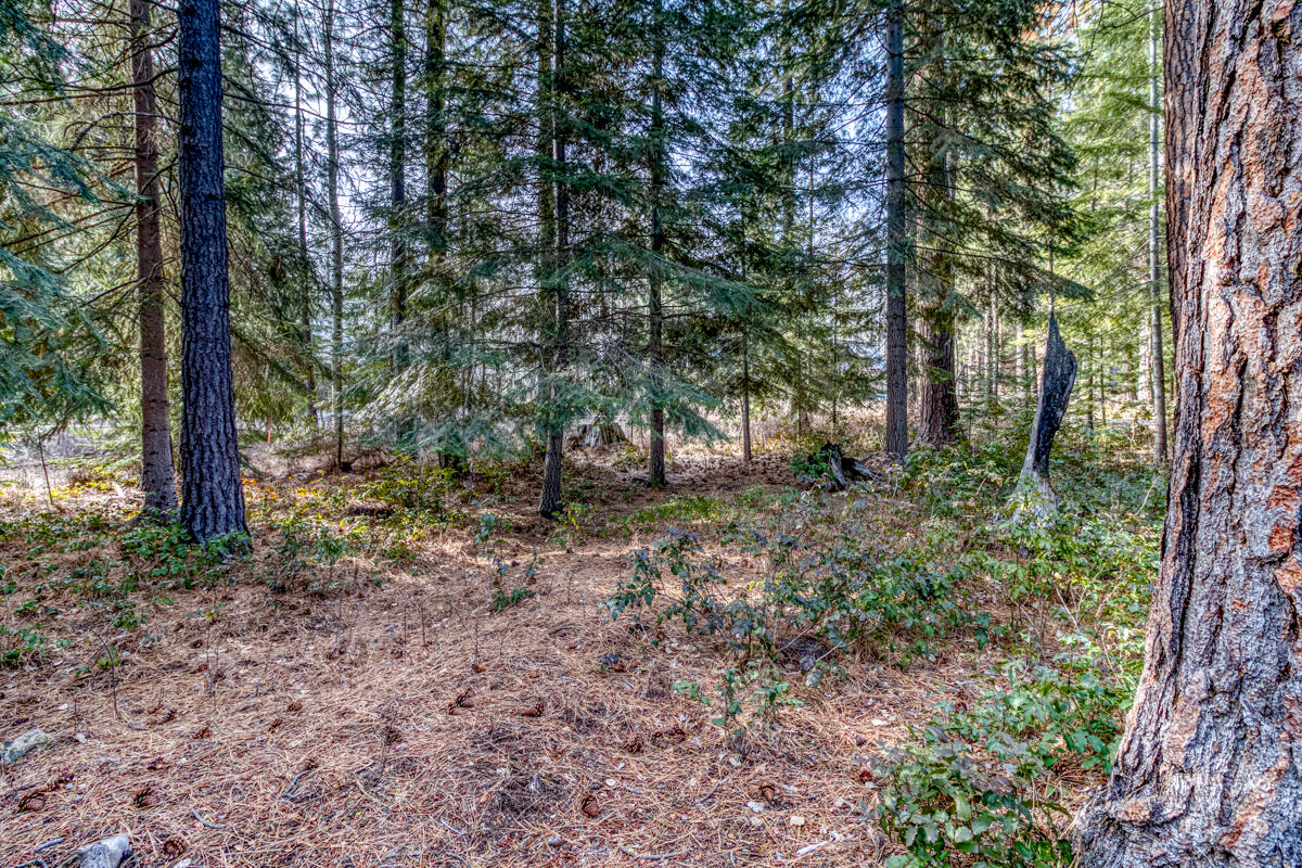 Black Butte Ranch - Residential