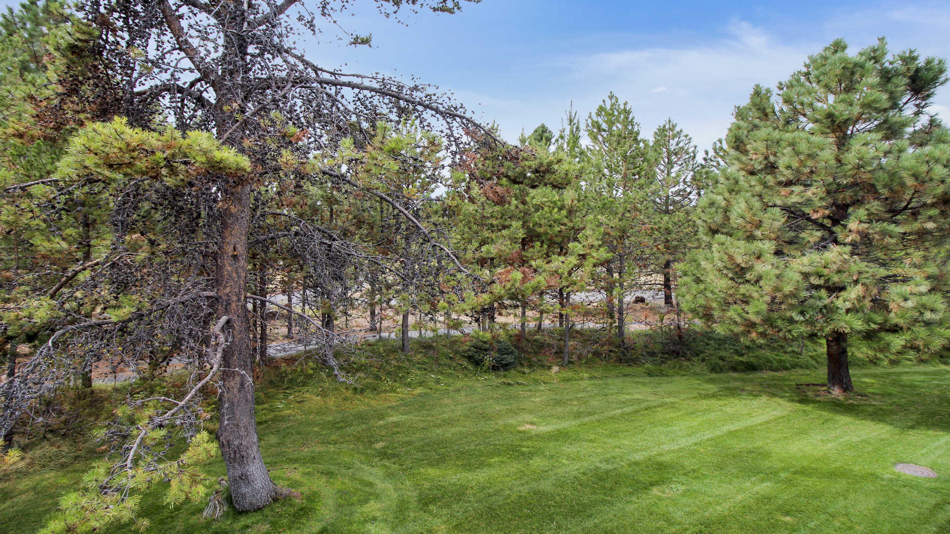 Fairway Vill Condo - Residential