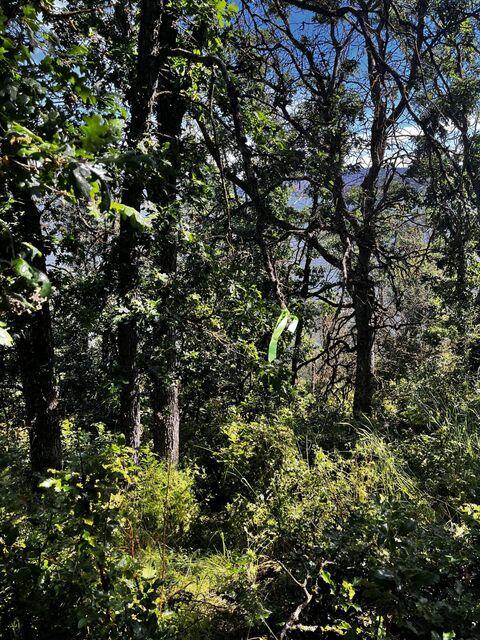 Running YResort - Land