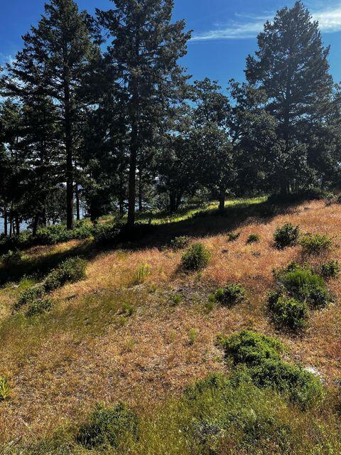 Running YResort - Land