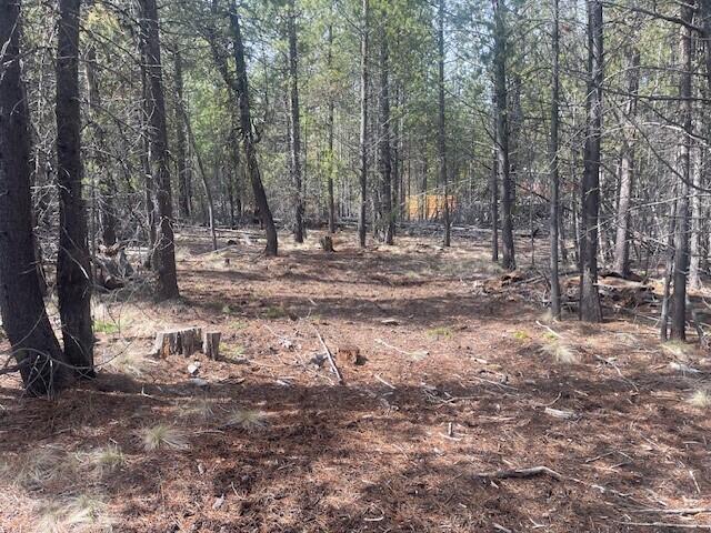 Bend, Oregon 97707, United States, ,Land,Active,105185