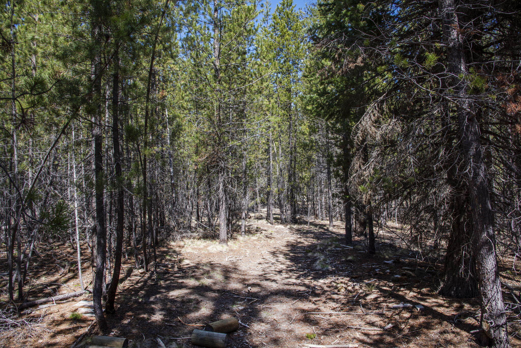 Bend, Oregon 97707, United States, ,Land,Active,105185