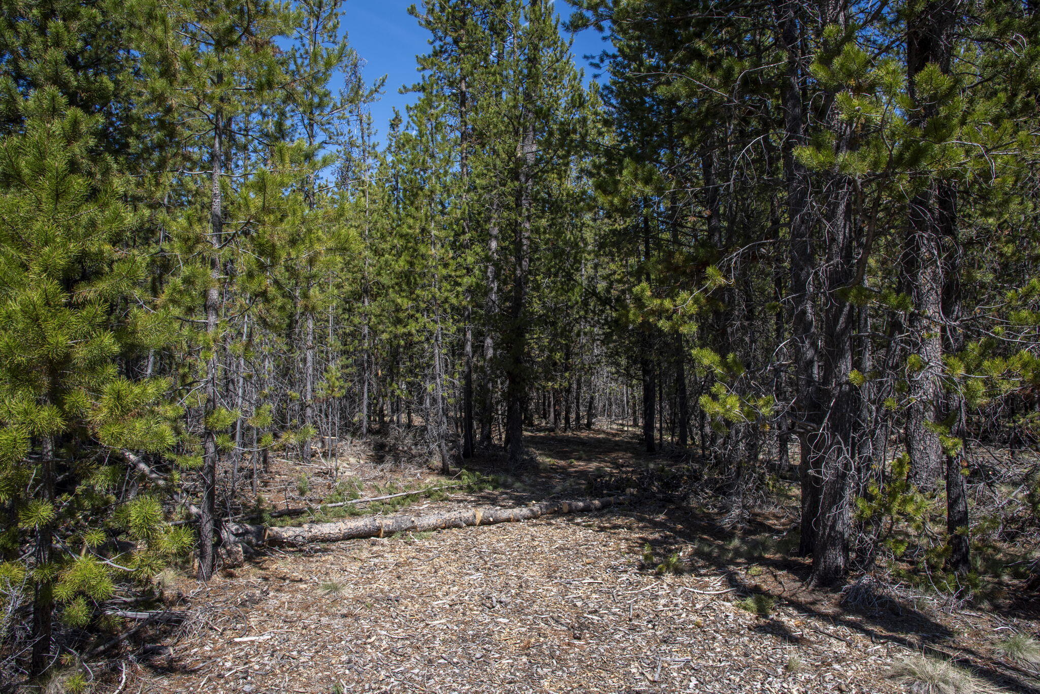 Bend, Oregon 97707, United States, ,Land,Active,105185