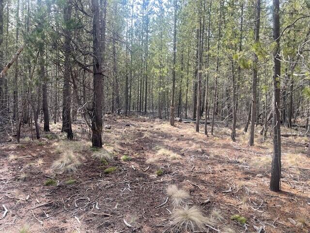 Bend, Oregon 97707, United States, ,Land,Active,105185