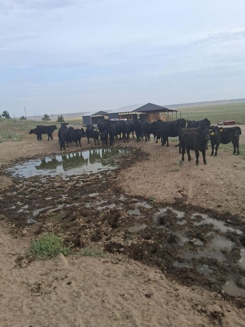 Tiny photo for 31643 L 5 Lane, Burns, OR 97720 (MLS # 220213932)