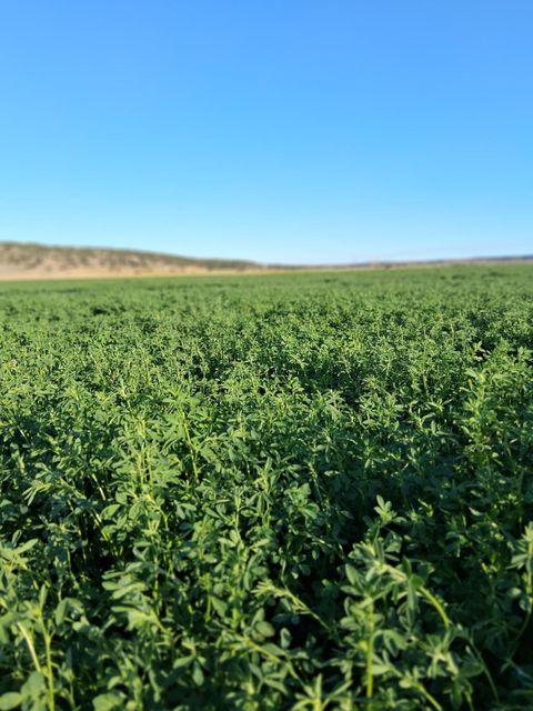 Tiny photo for 31643 L 5 Lane, Burns, OR 97720 (MLS # 220213932)