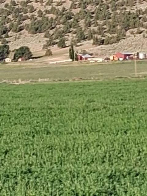 Tiny photo for 31643 L 5 Lane, Burns, OR 97720 (MLS # 220213932)