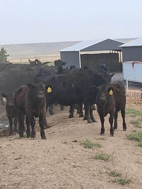 Tiny photo for 31643 L 5 Lane, Burns, OR 97720 (MLS # 220213932)