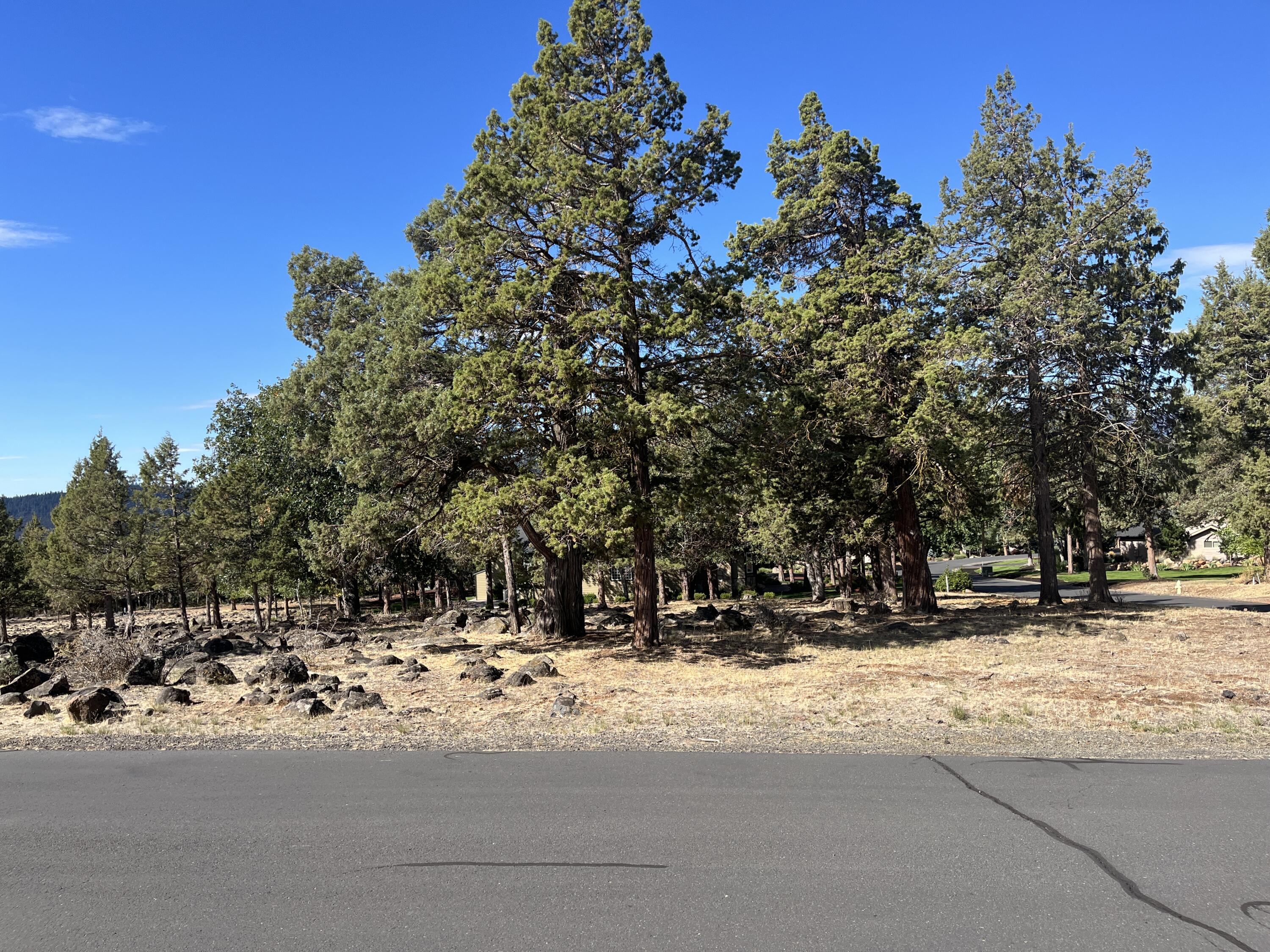 Running YResort - Land