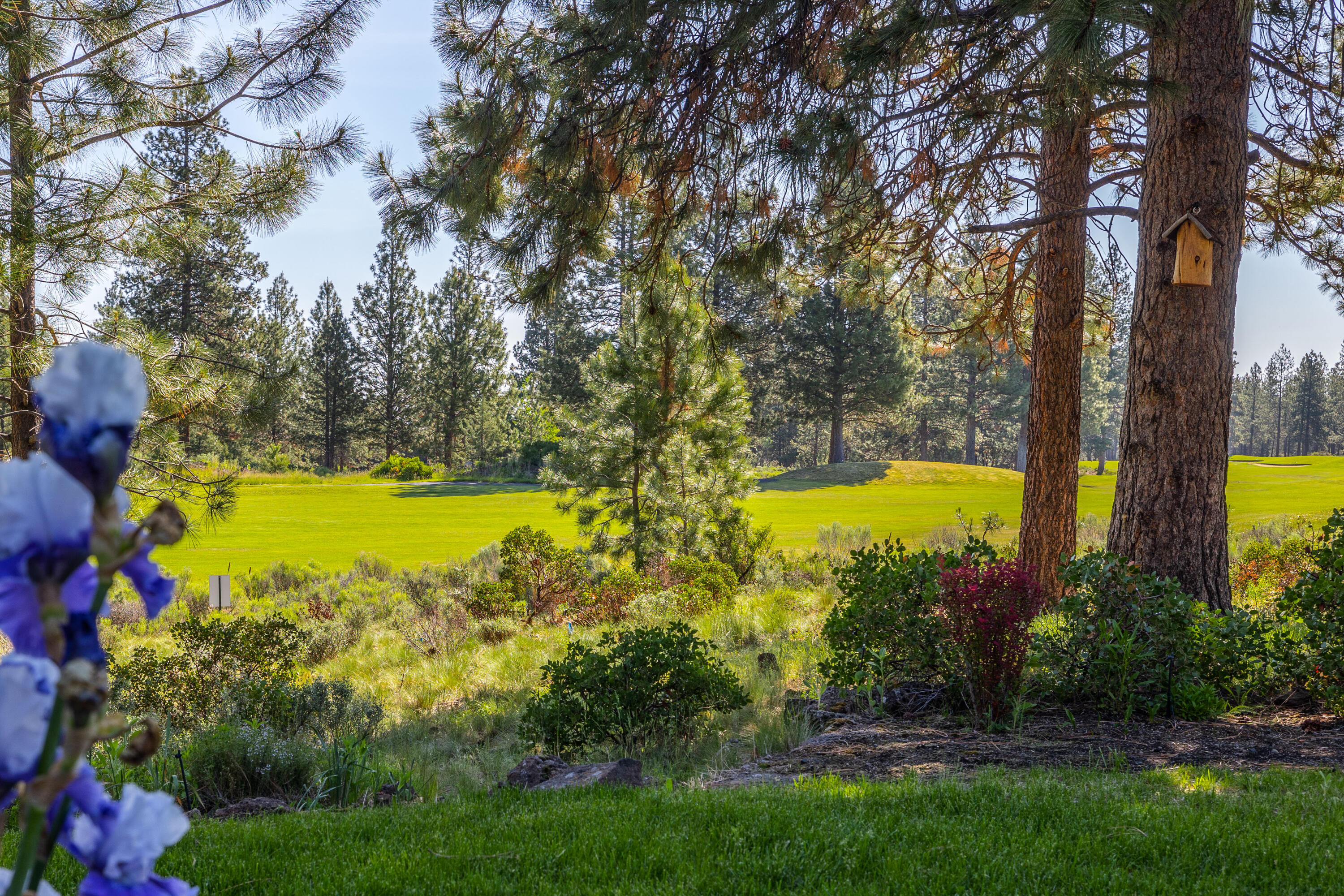 Sunset View Estates - Residential