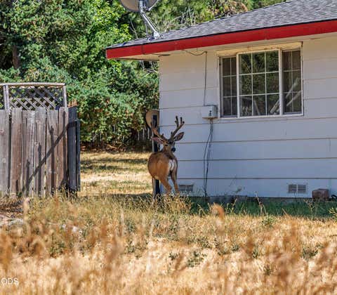 Tiny photo for 135 Leach Drive, Midland, OR 97634 (MLS # 220226852)